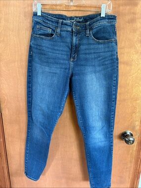 Universal Thread Skinny Jeans in Medium Blue Wash